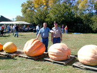 Harris pumpkin weekend 03