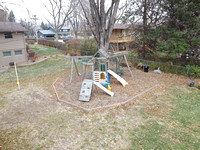 11-10-2012 backyard